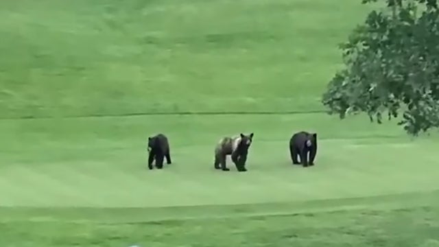 bears-castle-pines-golf-course.jpg 