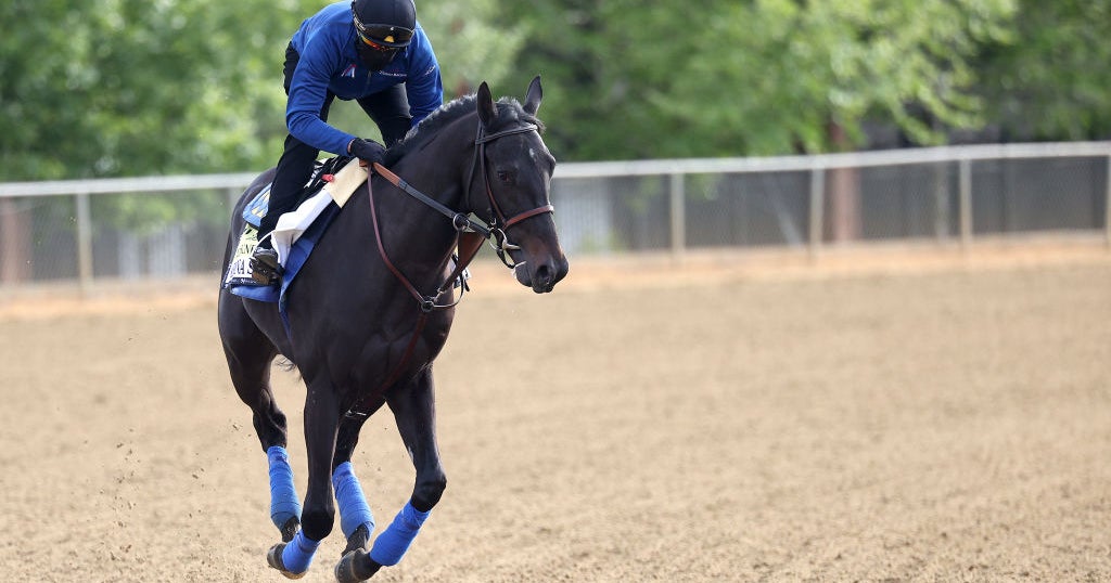 Medina Spirit Passes 3 Drug Tests Ahead Of Preakness - CBS Baltimore
