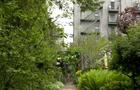 cbsn-fusion-community-gardens-decorate-new-york-citys-urban-landscape-thumbnail-715696-640x360.jpg 