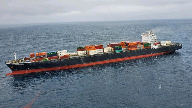 NYK_Delphinus.jpg 