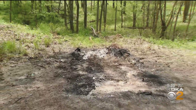 east-finley-township-washington-county-human-remains-car.png 