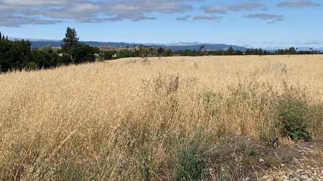 drought-dried-out-field-generic-kpix.jpg 