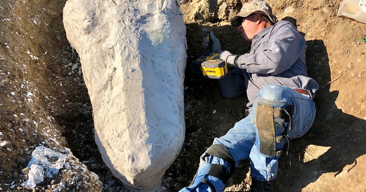 'Bones of Great Beasts;' Hundreds Of Prehistoric Fossils Discovered In