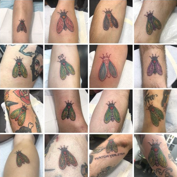 Broox X tattoo 