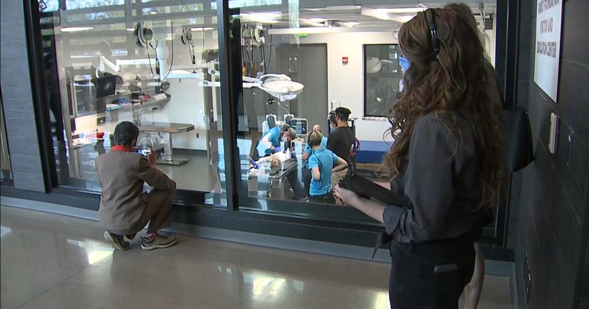 Grand Opening! Denver Zoo Visitors Will Now Be Able To Peer Inside New Animal  Hospital - CBS Colorado