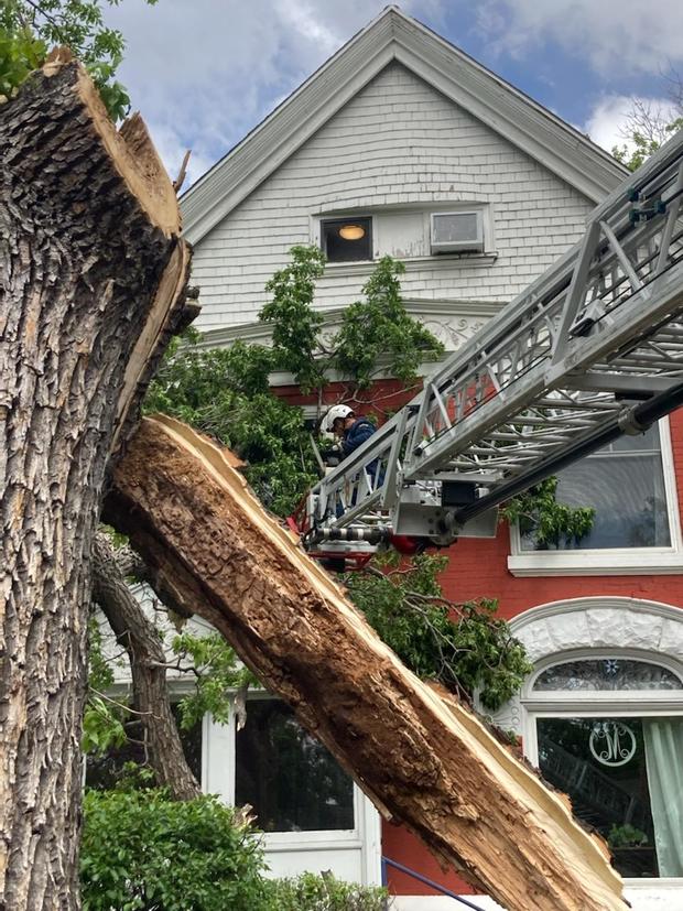 Tree on House 5 from Denver Fire 