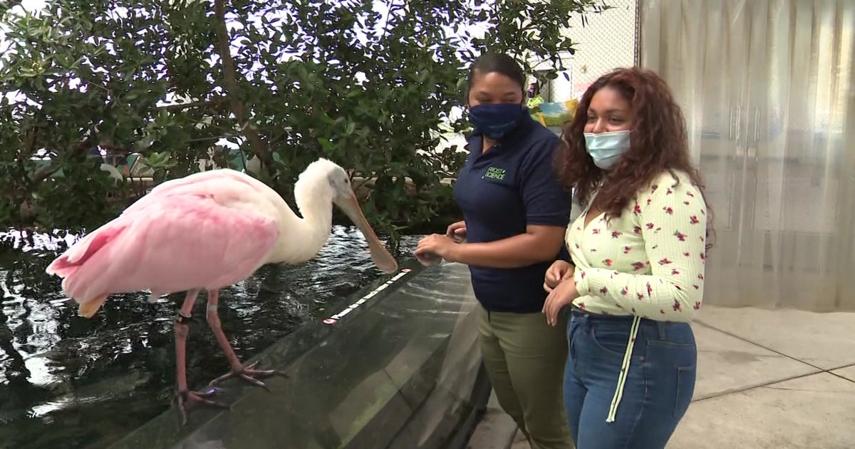 Miami Proud: Frost Science Museum’s Award-Winning Program Helps Create Environmental Stewards