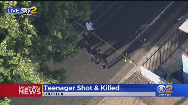 South-LA-Fatal-Shooting.jpeg 