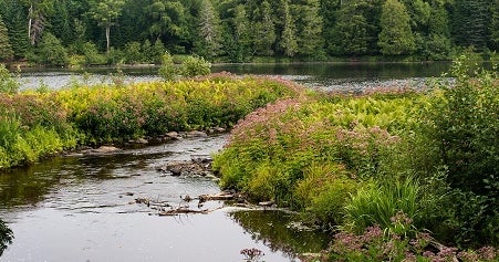 Michigan Health Department Avoiding Foam On Lakes And Rivers