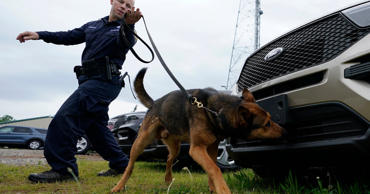 Florida law enforcement puppies get additional protections
