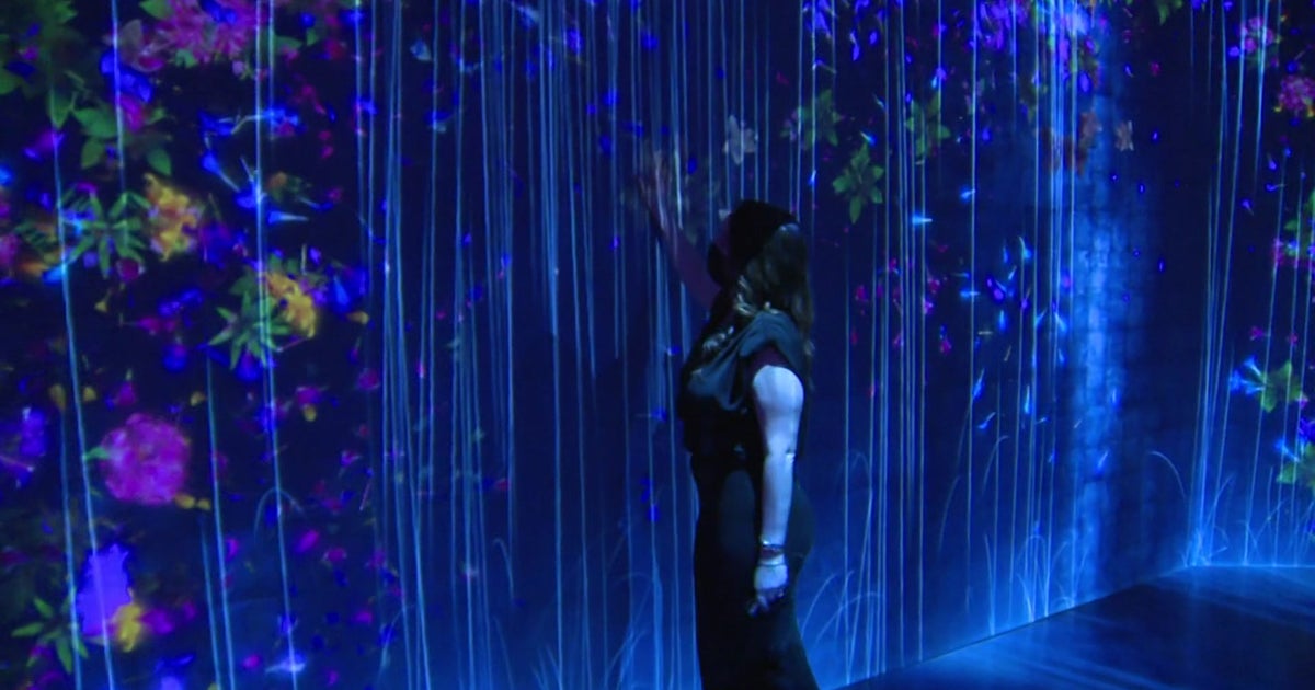 Interactive Art Experience 'Superblue Miami' Opens In Allapattah CBS