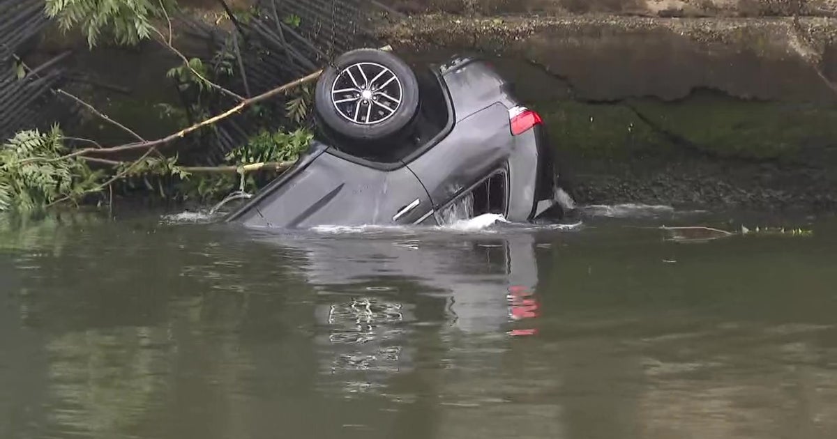 Woman Dies After Car Plunges Into Water In Pelham Manor CBS New York
