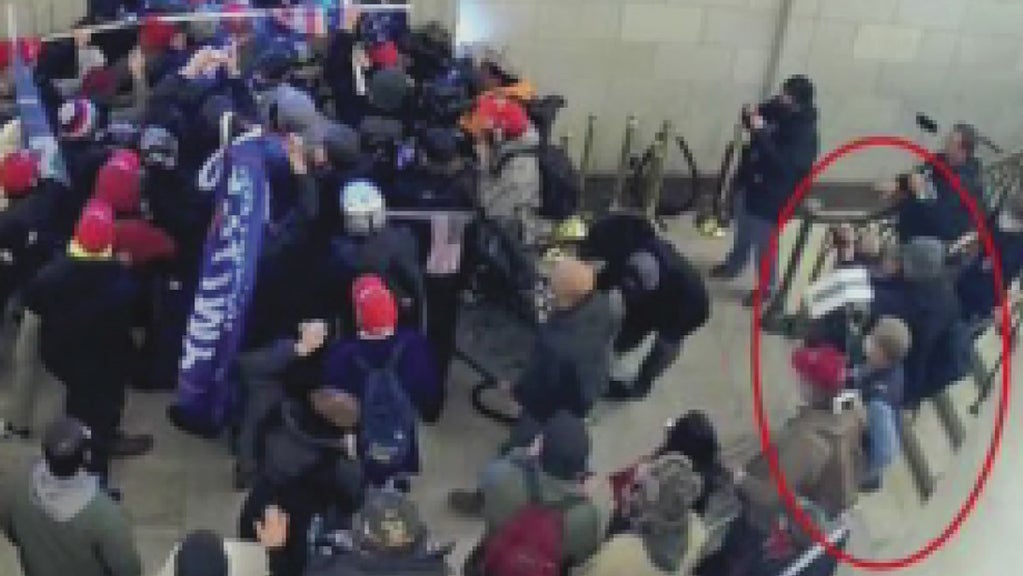 Capitol Riot Pleas 
