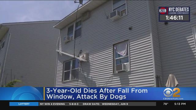 child-falls-from-window-dog-attack-elizabeth-nj.jpg 