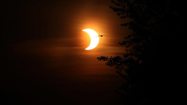 The morning of the eve of Ontario moving into Stage One of COVID-19 reopening is marked with a solar eclipse as viewed from the Beaches 