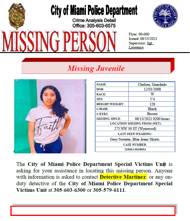 Chelsea Guardado Flyer 