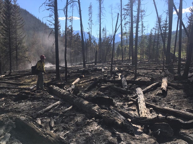 straight creek mop up 1 (usfs david boyd) 