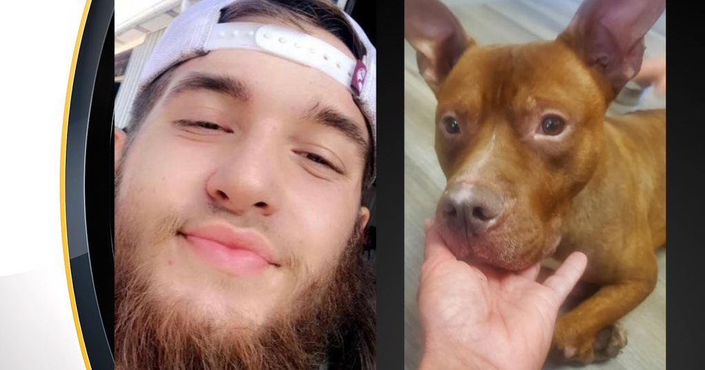 'Unspeakable Animal Cruelty': Scottdale Man Charged For Beating ...
