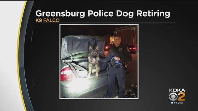 greensburg-k9-falco.jpg 