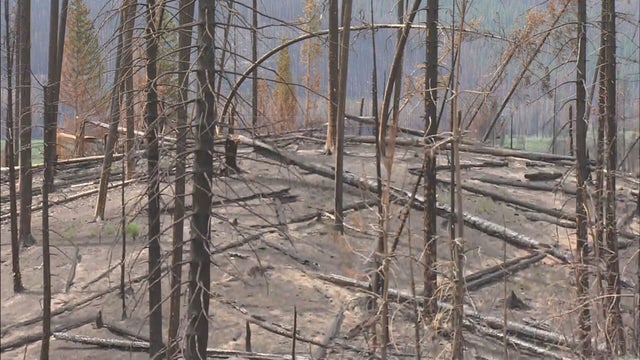 RMNP FIRE TOUR 5PKG.transfer_frame_2088 