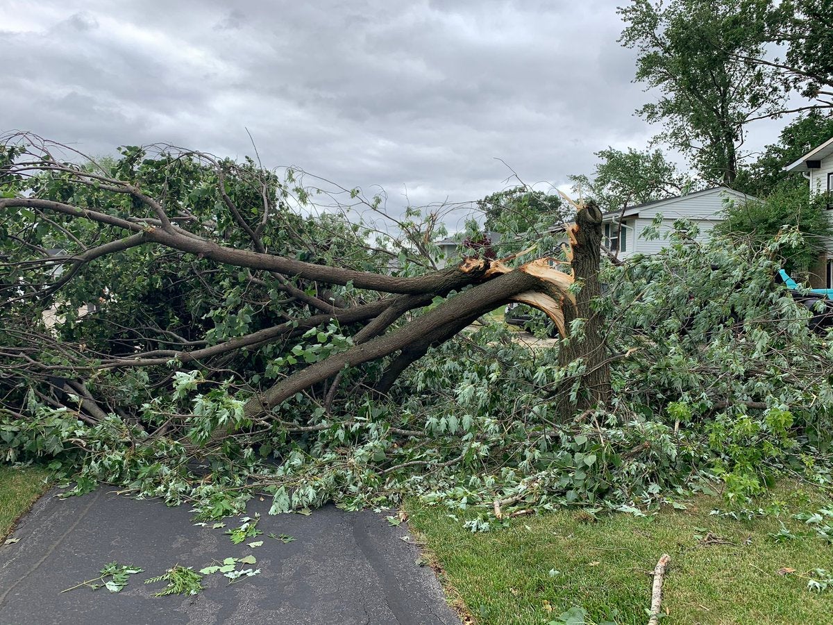 'Everybody's All Right': Woodridge Family On Surviving Severe Storm ...