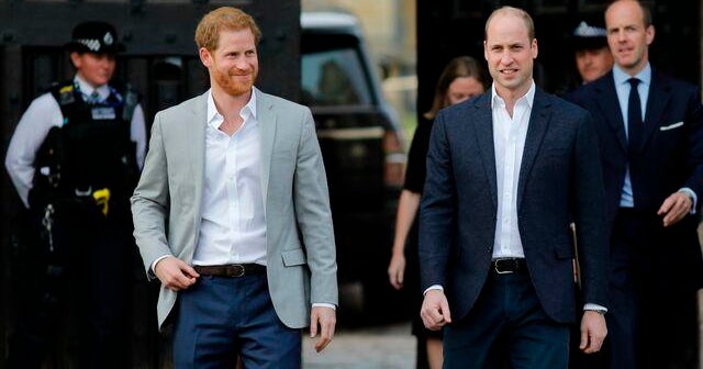 Royal historian makes claims about Prince Harry and Prince William’s