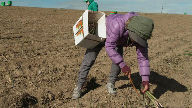 farm-workers-c-1280.jpg 