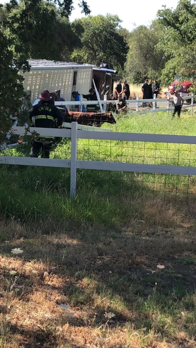 205438367_2302779683189037_8083336672128644513_n 