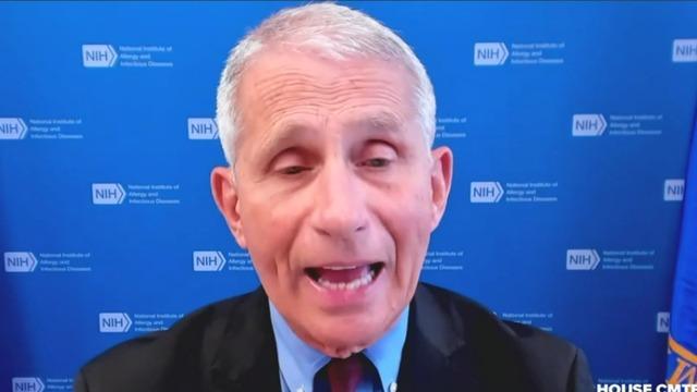 cbsn-fusion-unvaccinated-are-at-significant-risk-as-covid-19-delta-variant-spreads-fauci-says-thumbnail-744461-640x360.jpg 