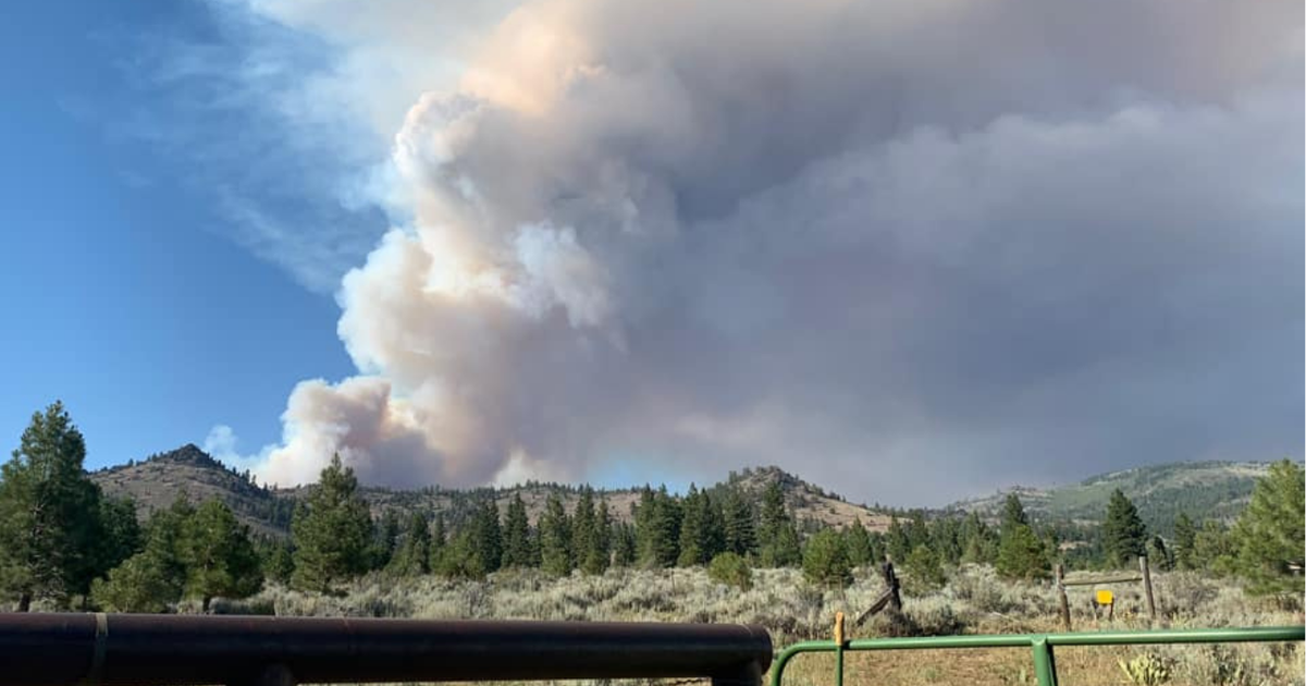 Crews Continue Battle Against Wildfire In Plumas National Forest CBS