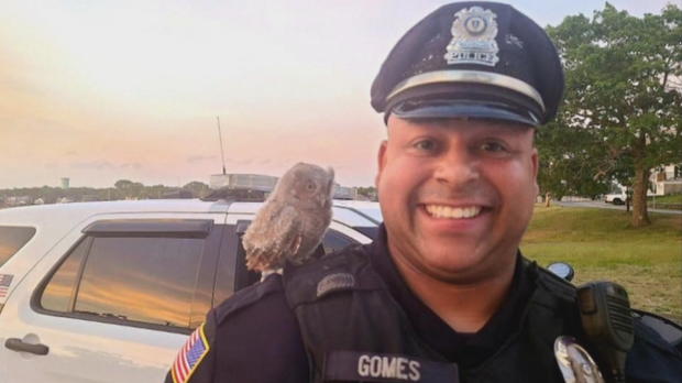Owl Officer 2 