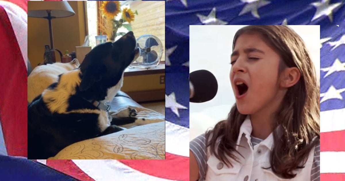 Must Watch Dog Sings Along To National Anthem On CBS Morning Show