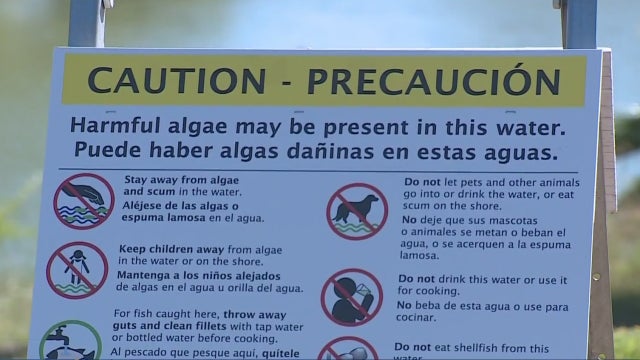harmful-algae-sign.jpg 