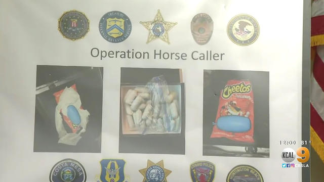 operation-horse-caller.jpg 
