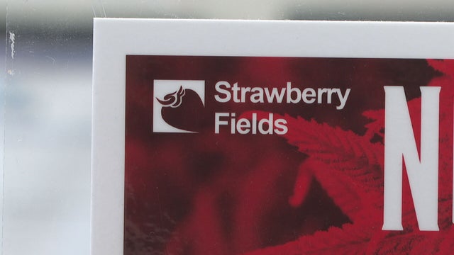 MARIJUANA DELIVERY 6PKG.transfer_frame_1322