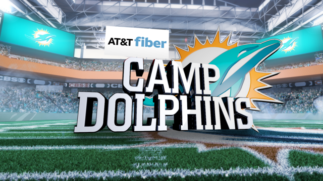 RS-CAMP-DOLPHINS-ATT-FIBER-.png 