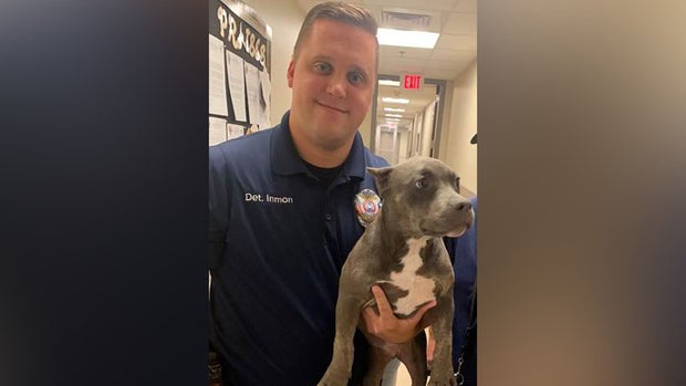 Stolen puppy recovered by Forney Police 