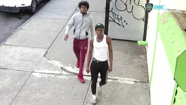 Bronx Robbery, Assault 