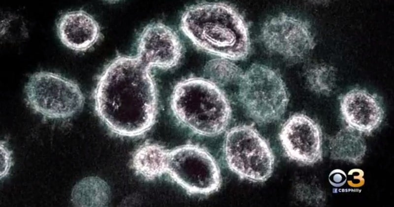 CDC Document Warns Delta Variant Appears To Spread As Easily As ...