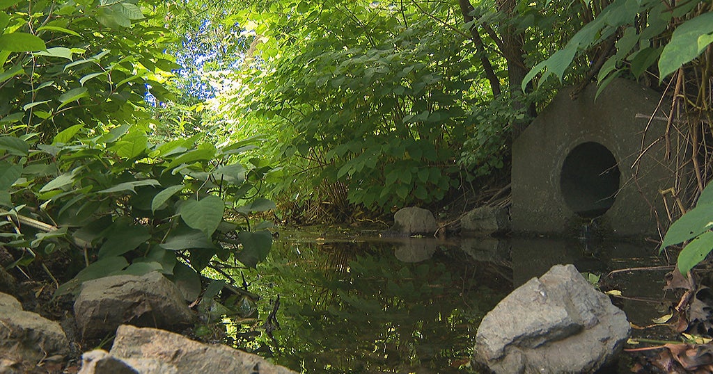 ITeam State Police Cadaver Dogs Search For Source Of Mysterious