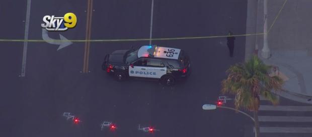 Man Struck, Killed By Hit-Run Driver In Santa Monica 