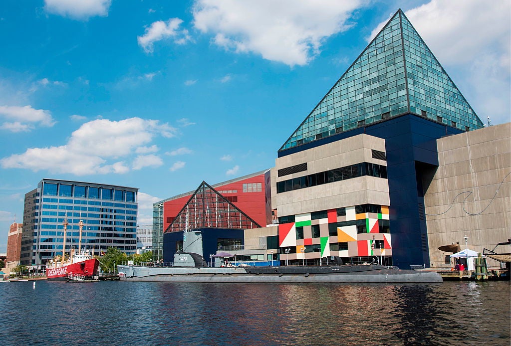 Where's Marty? Going Behind The Scenes At The National Aquarium CBS