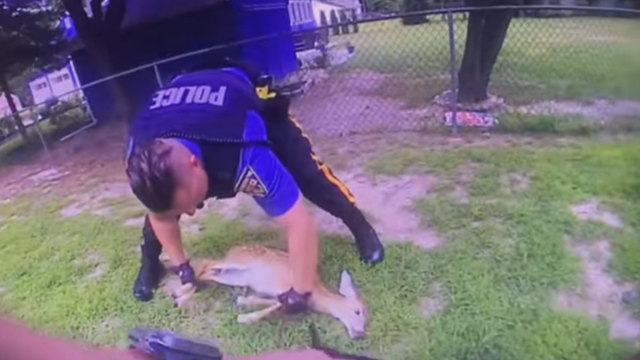 18VO_WASH-TWP-PD-RESCUE-FAWN.transfer_frame_139.png 