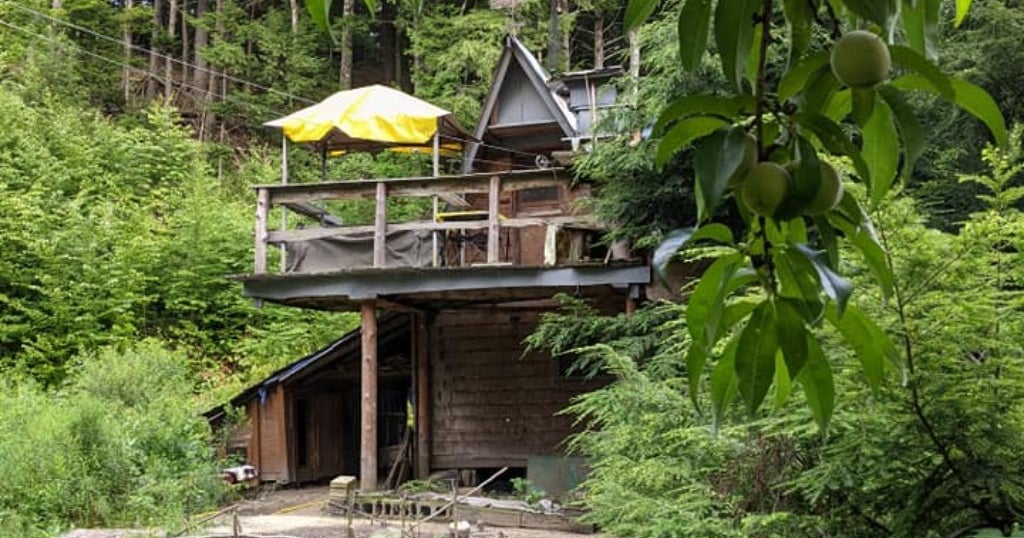 New Hampshire Hermit 'River Dave' A NoShow At Disputed Woodlot Hearing