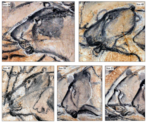 cave-lion-paintings 
