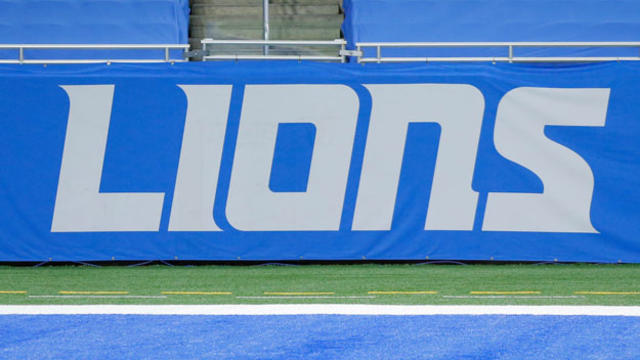 Lions3_625x352-1.jpg 