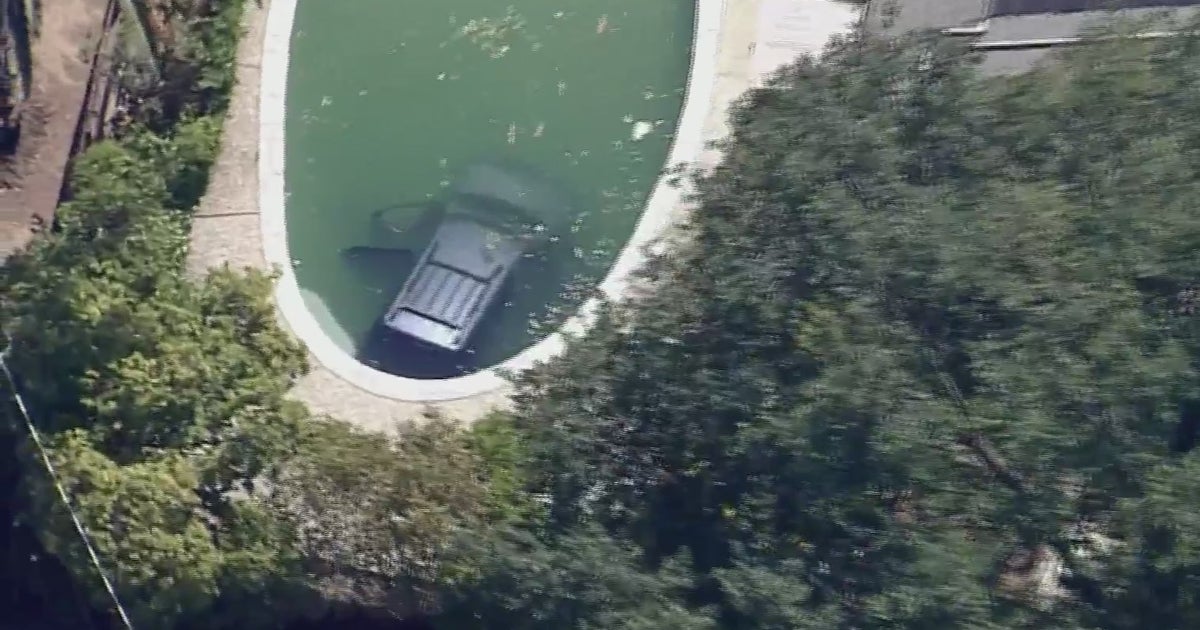 SUV Crashes Through Fence Into Backyard Swimming Pool In Walnut Creek ...