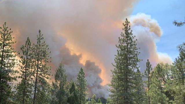 caldor-fire-smoke-plume.jpg 