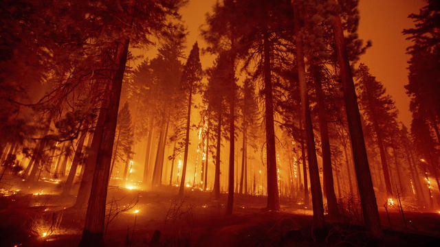 California Western Wildfires 