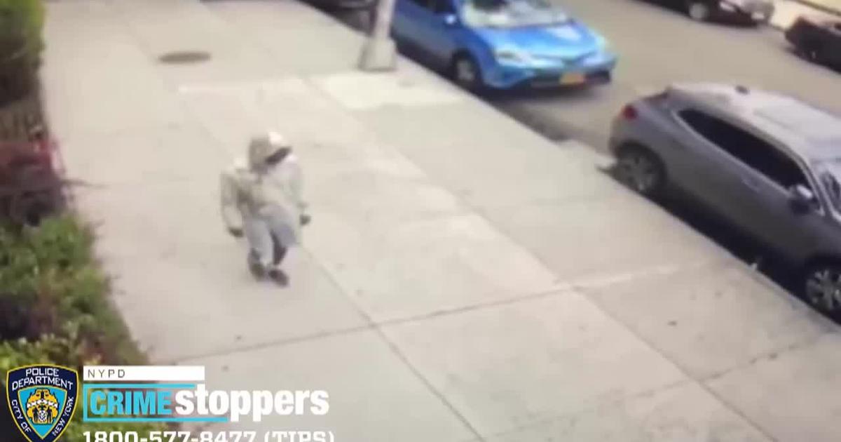 Nypd Suspect Shoved 76 Year Old To Ground Stole 300 Chain Cbs New York 8334